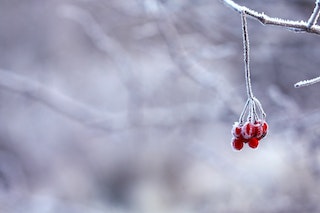 Csak fűtésre optimalizált klímát érdemes venni